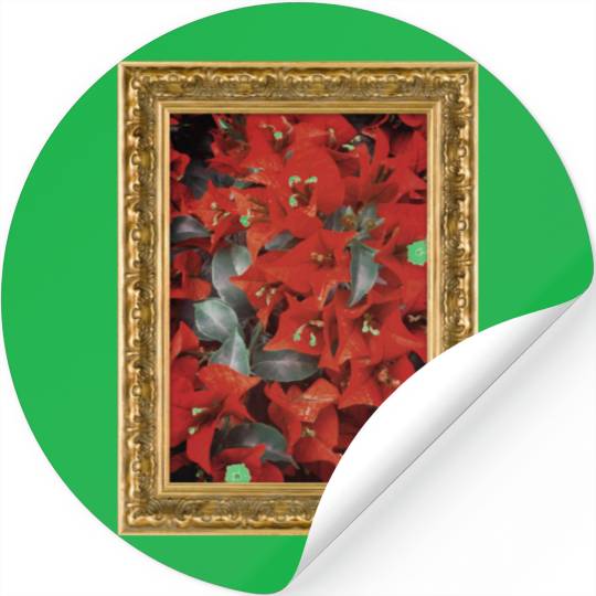 Vibrant Red Bougainvillea Flowers Stickers