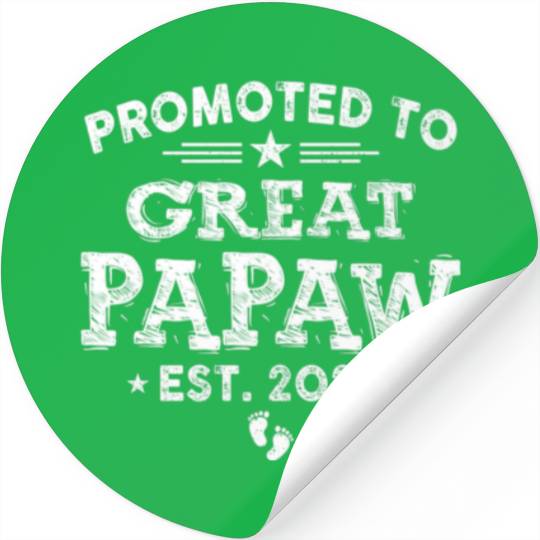 Promoted To Papaw 2022 Pregnancy Announcement Firs Stickers