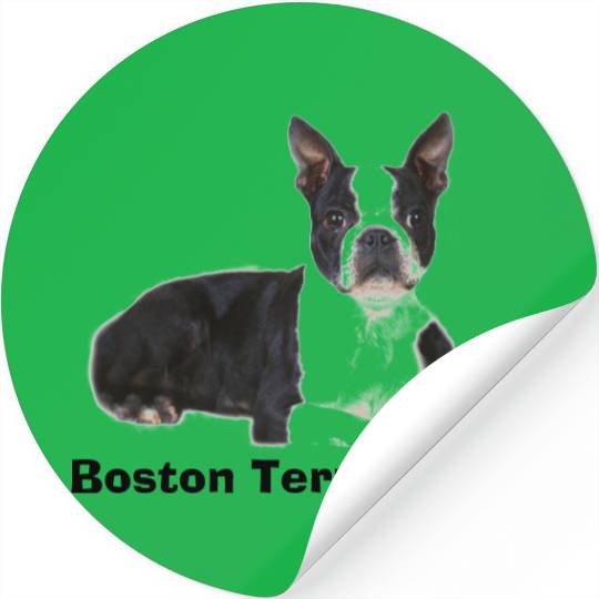 Boston Terrier  Double Quote & Image Stickers